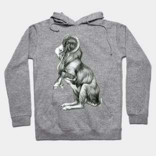 Julbocken Hoodie